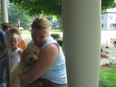Picture of Australian Labradoodle
