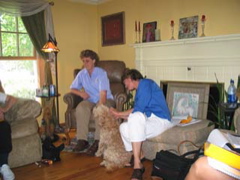 Picture of Australian Labradoodle