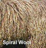 Picture of Australian Labradoodle