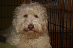 <br>
 