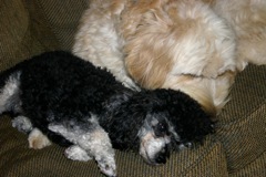 Cole and Misty<br>
 