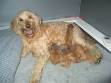   Flame and babies.  Dec 11, 2004.

