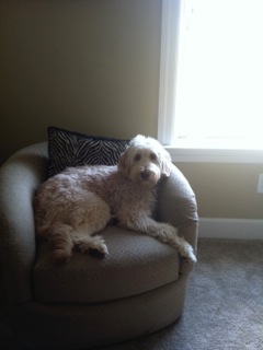 Gracie Gray<br>
 