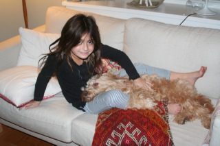 Picture of Australian Labradoodle