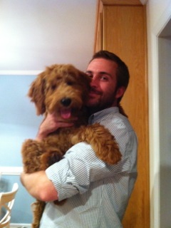 Picture of Australian Labradoodle