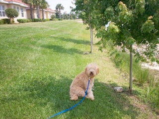 Cooper<br>
 