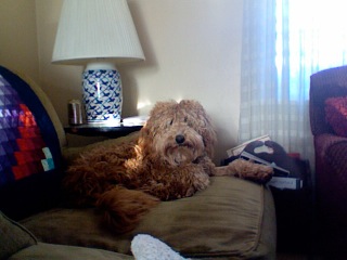 Baily<br>
 