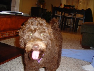 Tobey<br>
 