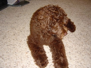 Tobey<br>
 