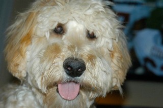 Rusty<br>
 