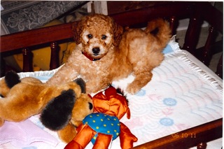 Rusty<br>
 