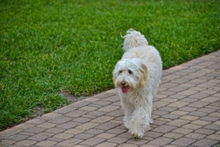 Kaylee<br>
 