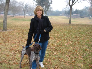 Picture of Australian Labradoodle
