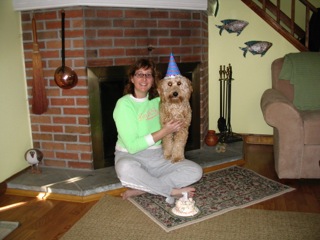 Picture of Australian Labradoodle