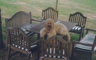 Rusty<br>
 
