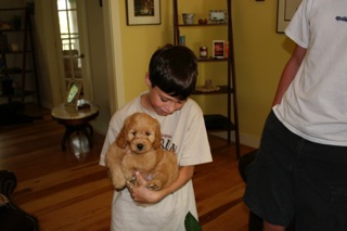 Bailey<br>
 