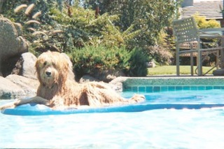 Rusty<br>
 