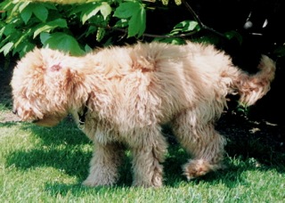 Abby<br>
 