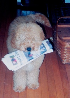 Buster<br>
 