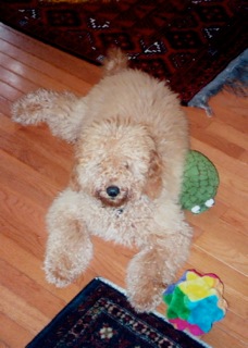 Buster<br>
 