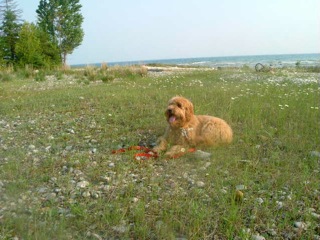 Buster<br>
 