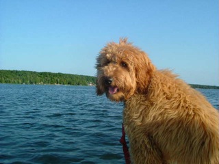 Bailey<br>
 