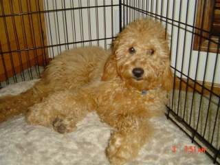 Bailey<br>
 