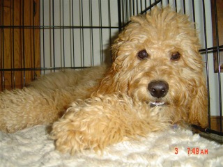 Bailey<br>
 