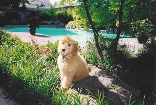 Bailey<br>
 