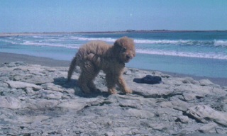 Rusty<br>
 