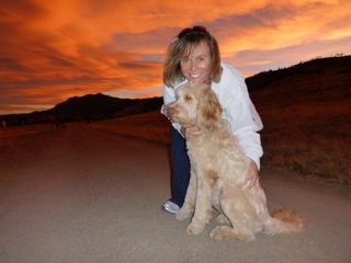 Picture of Australian Labradoodle