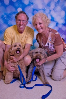 Picture of Australian Labradoodle