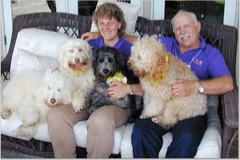 Picture of Australian Labradoodle
