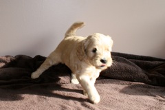 Blue Girl, week 06<br>
 