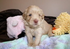 Purple Boy, week 04, 3lb 5oz<br>
 