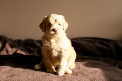 Purple Boy, week 06<br>
 