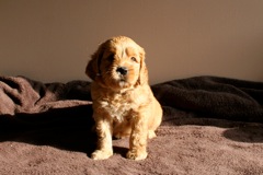 Teal Boy, week 06<br>
 