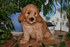 Teal Boy, week 08<br>
 
