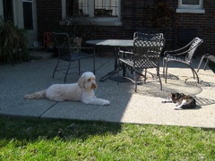 Layla & Dololly<br>
 