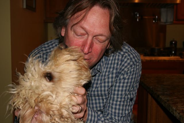 Picture of Australian Labradoodle