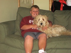 Picture of Australian Labradoodle
