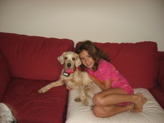 Picture of Australian Labradoodle