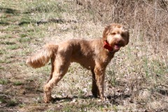 Early spring walk at Heartsong<br>
 