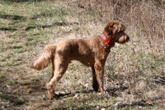 Early spring walk at Heartsong<br>
 