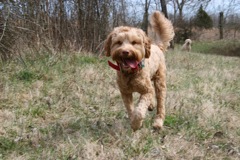 Early spring walk at Heartsong<br>
 