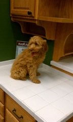 Training at Lowes<br>
 
