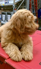 Training at Lowes<br>
 