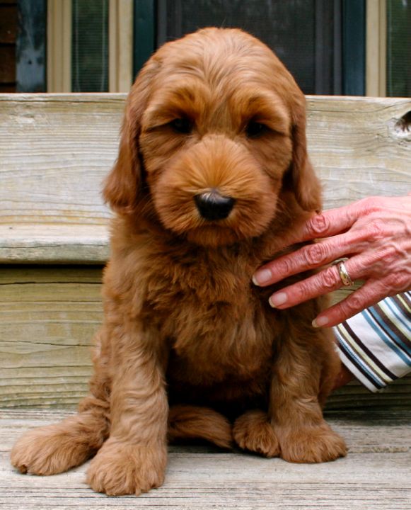 Picture of Teal Ribbon Girl, week 7, 8lb