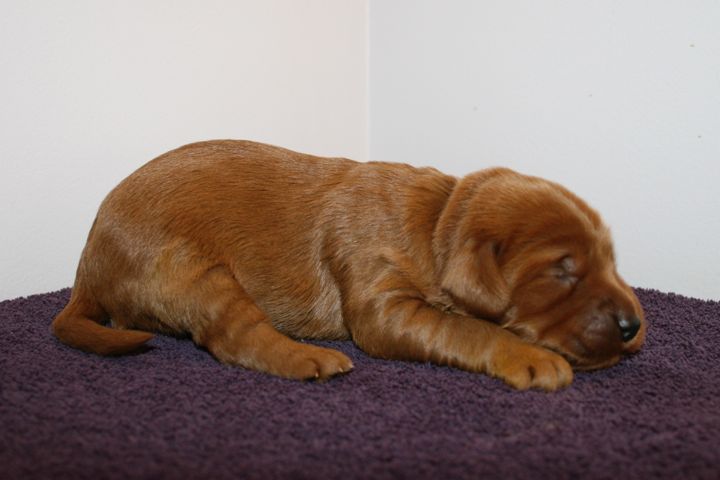 Picture of Teal Ribbon Girl, week 2, 1lb 10oz