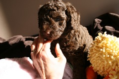 Purple Girl, week 5, 5lb 14oz<br>
 
